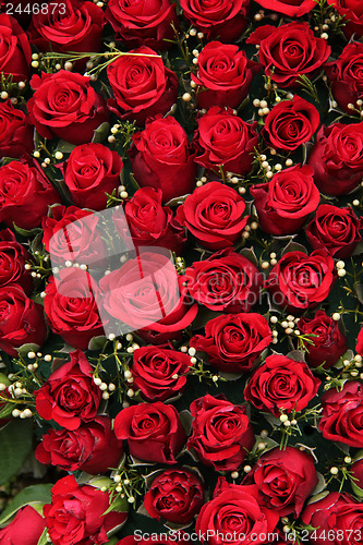 Image of Red roses and small white berries