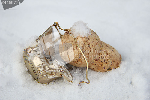 Image of Champagne cork in the snow