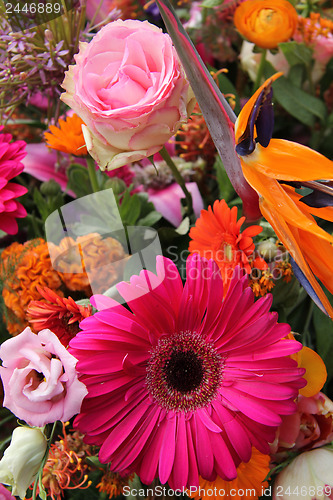 Image of Floral arrangement in pink, red and orange