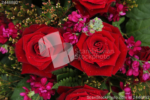 Image of Red and pink bridal flowers