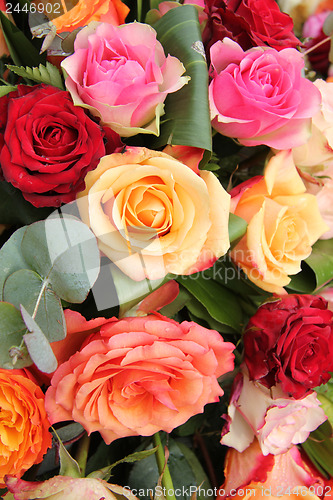 Image of Mixed rose bouquet