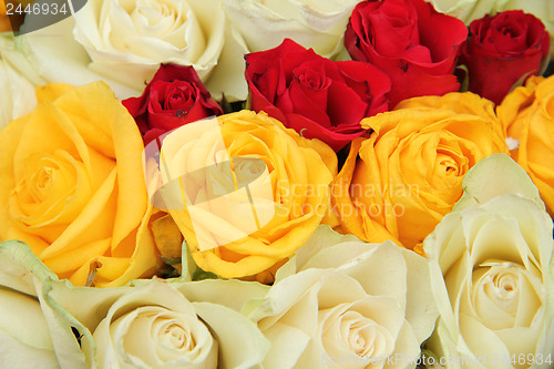 Image of Yellow, white and red roses in a wedding arrangement