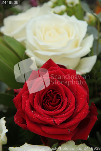 Image of Red rose in bridal arrangement