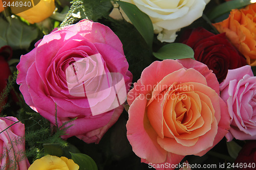 Image of Multicolored roses in flower arrangement
