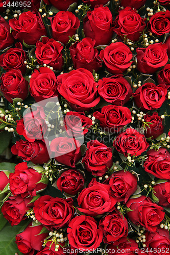 Image of Red roses and small white berries