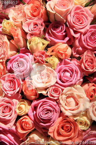 Image of Roses in different shades of pink, wedding arrangement