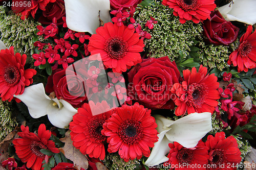 Image of Floral arrangement in red and white