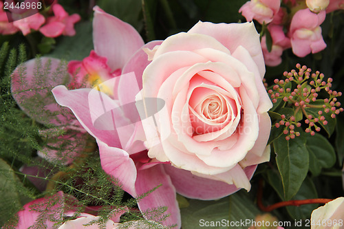 Image of pink rose and orchid in bridal bouquet