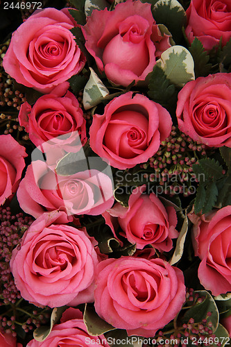 Image of Skimmia and pink roses bridal arrangement