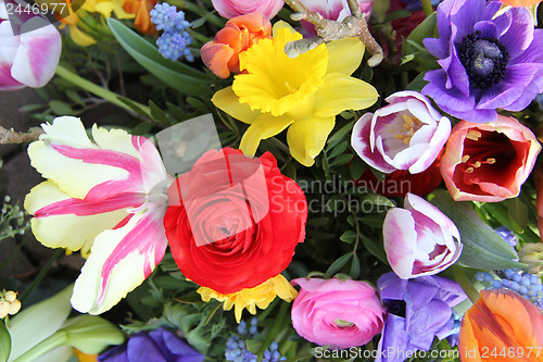 Image of Spring flowers in bright colors