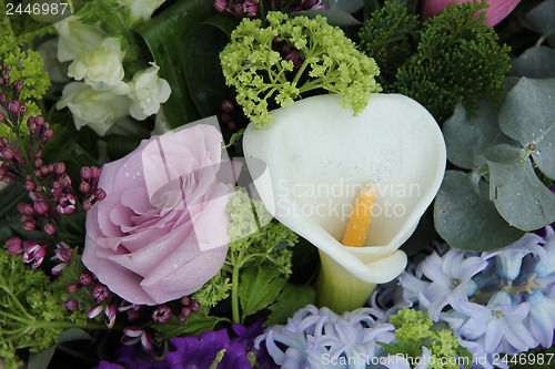 Image of Calla lily in a blue purple arrangement