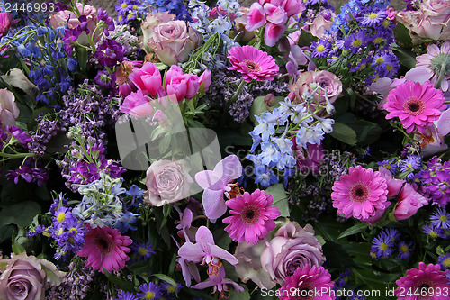 Image of Floral arrangement in pink and blue