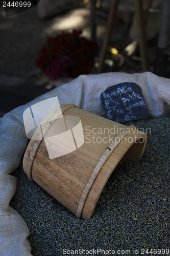 Image of Lavender for sale