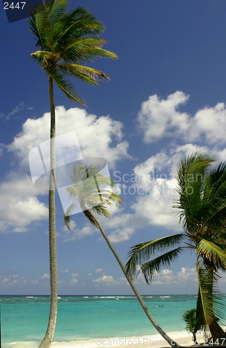Image of Punta Cana,Dominican Republic in west Indies
