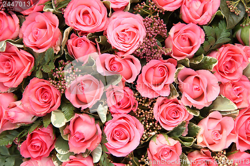 Image of Group of Pink roses
