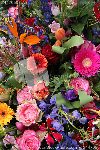 Image of Mixed flower arrangement