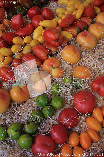 Image of Tomatoes