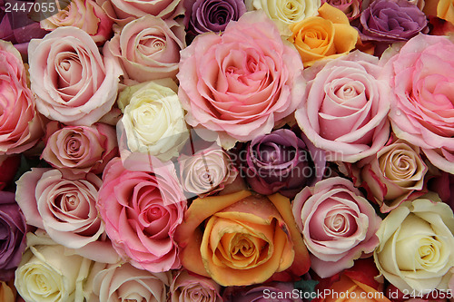 Image of Pastel wedding roses