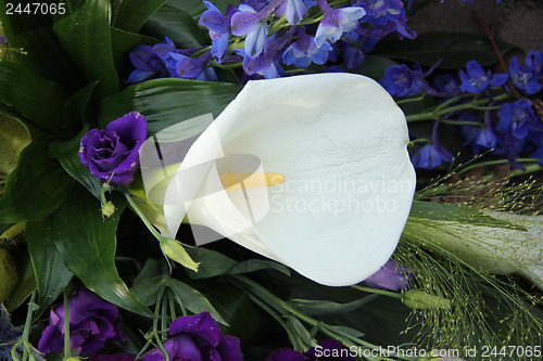 Image of Calla Lily and blue bridal bouquet