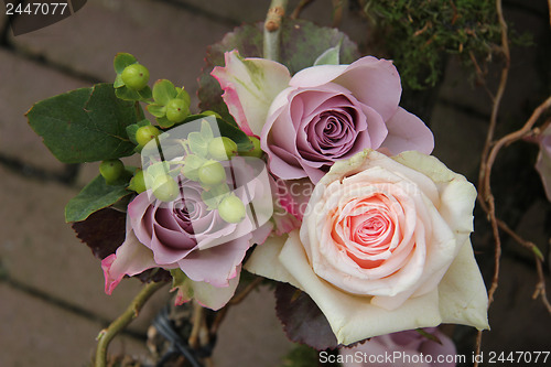 Image of big pink and purple roses
