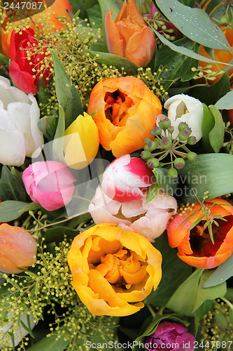 Image of Mixed tulip arrangement