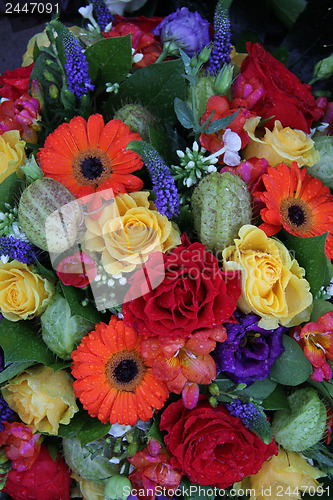 Image of Mixed flower arrangement