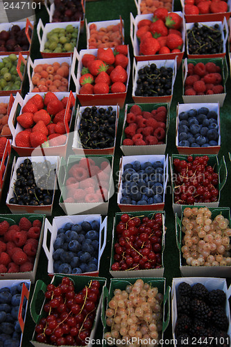 Image of Berries in boxes