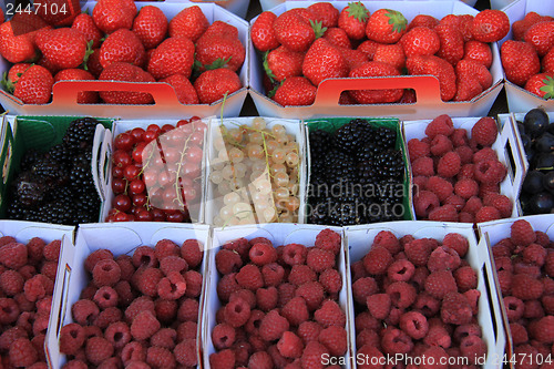 Image of Berries in boxes
