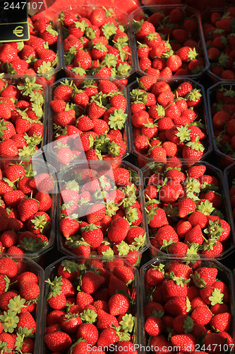 Image of Strawberries in boxes