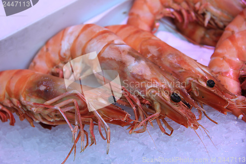 Image of Prawns