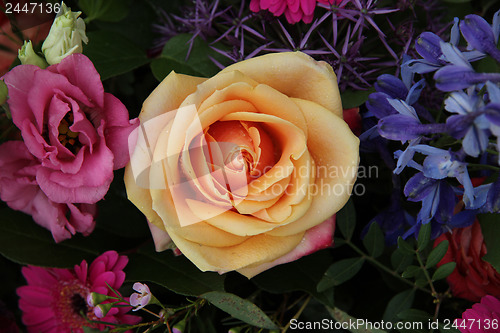 Image of Orange pink rose in a mixed bouquet