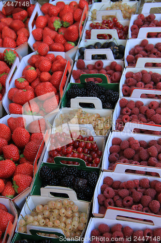 Image of Berries in boxes