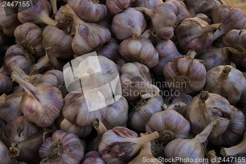 Image of Fresh garlic at a market