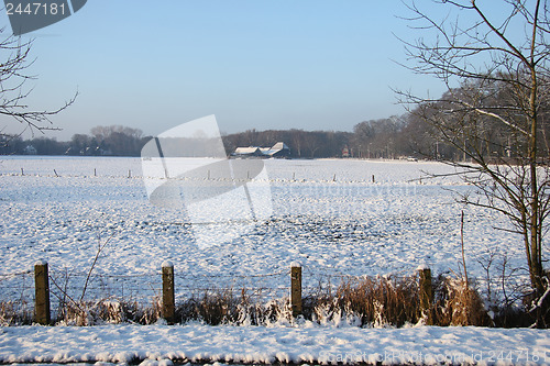 Image of Farm in a winter forest