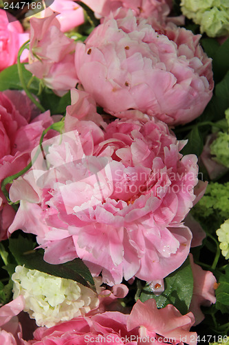 Image of Peonies in a bridal arrangement