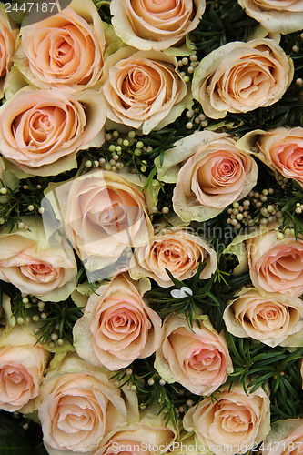 Image of pale pink wedding roses