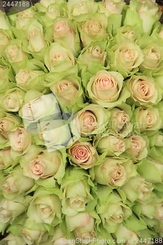 Image of Pale pink roses in a wedding arrangement