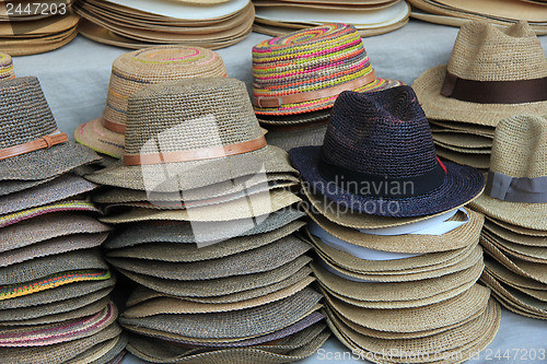 Image of Panama hats