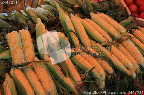 Image of Fresh corn at a market