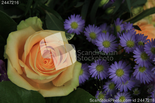 Image of Roses and asters in a bridal bouquet