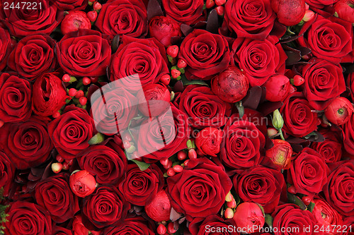 Image of ranunculus, berries and roses in a group