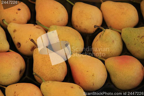 Image of Pears