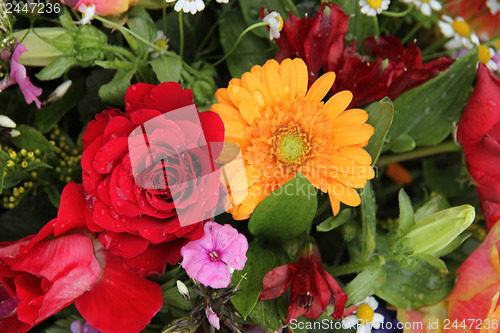 Image of Flower arrangement in bright colors