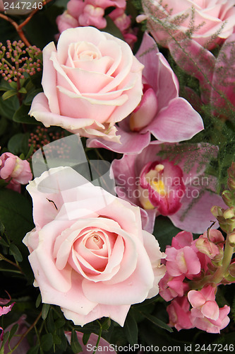 Image of pink rose and orchid in bridal bouquet