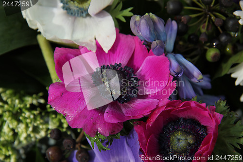 Image of Anemones in bridal arrangement