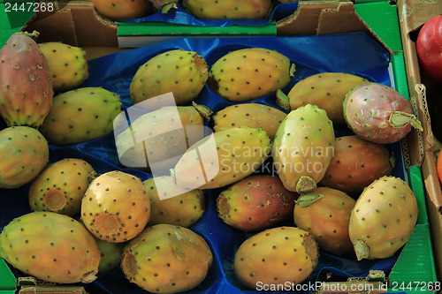 Image of Cactus vigs at a market