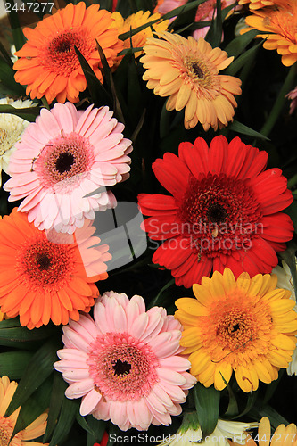 Image of Gerbera bouquet