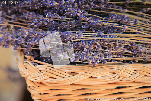 Image of Lavender in a wicker basket