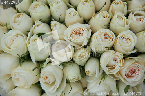 Image of Group of white roses, wedding decorations