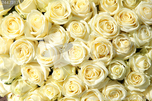 Image of Group of white roses in floral wedding decorations